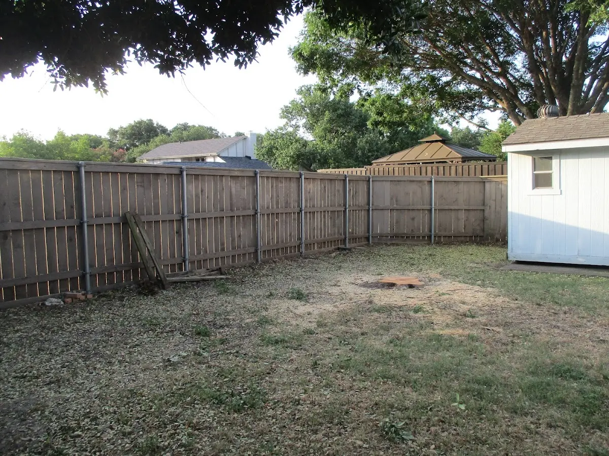 Cleared yard after professional tree removal in Enterprise